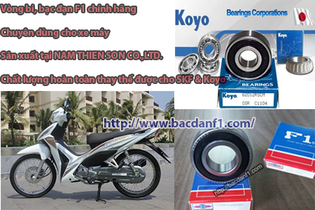 Vòng bi - Bạc đạn chuyên dùng cho xe Wave RSX